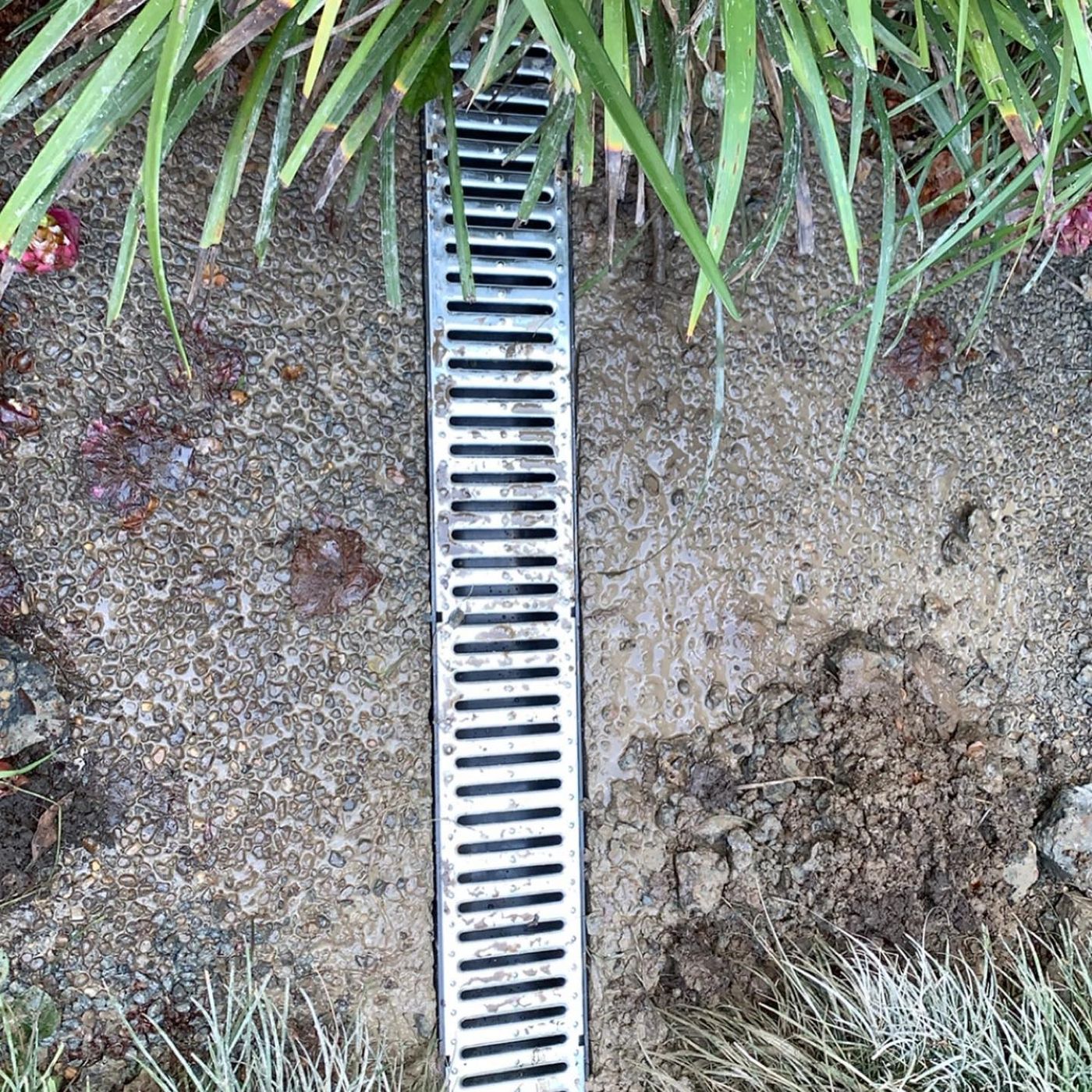 Strip drain, Kirrawee